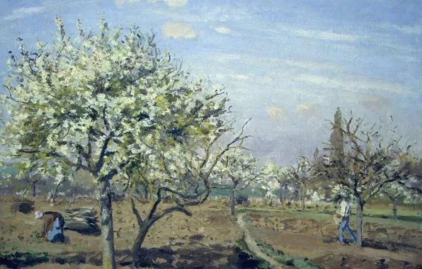 Деревья, пейзаж, картина, весна, Камиль Писсарро, Сад в Цвету. Лувесьен