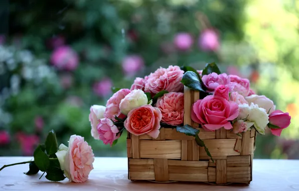 Розы, корзинка, лукошко, © Elena Di Guardo