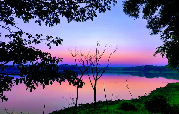 Картинка Sun, Water, Sunrise, Dawn, Morning, Lake, Trees, Reflection