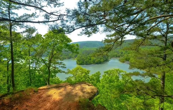 Лес, лето, небо, деревья, горы, озеро, сша, Arkansas