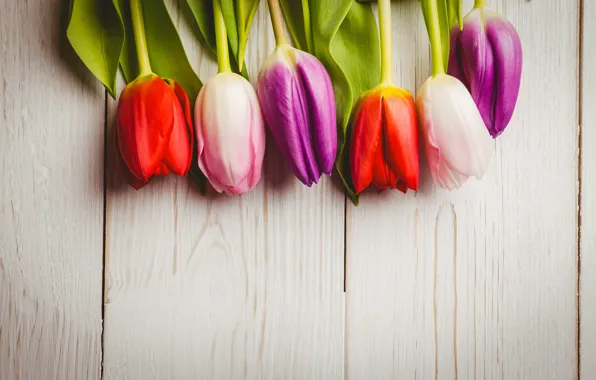 Цветы, букет, colorful, тюльпаны, red, white, wood, flowers