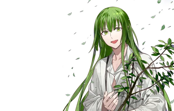 Листья, Enkidu, Fate strange fake