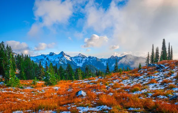 Облака, Горы, Снег, США, Пейзаж, Mount Rainier National Park
