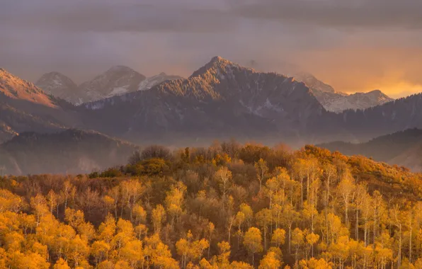Картинка осень, лес, небо, облака, закат, горы, природа