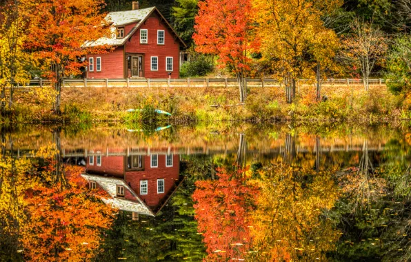 Картинка дорога, осень, лес, листья, деревья, пейзаж, отражение, река