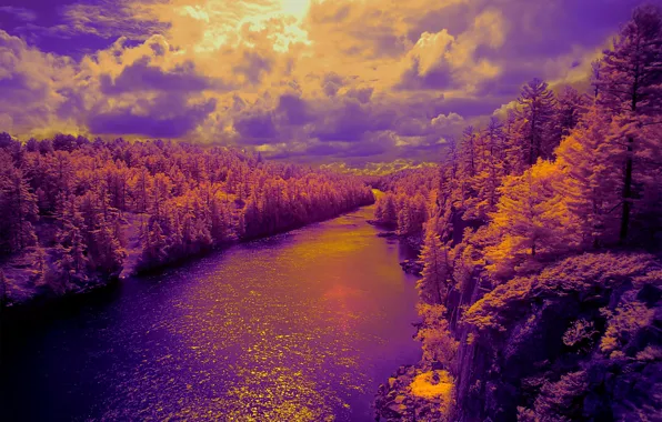 Картинка лес, небо, облака, свет, деревья, природа, река, цвет