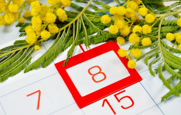Картинка желтые, красные, календарь, 8 марта, цветки, числа, дата, мимоза