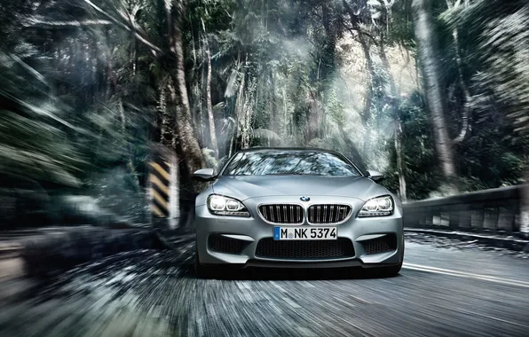 Картинка BMW, Скорость, Gran Coupe, Динамика