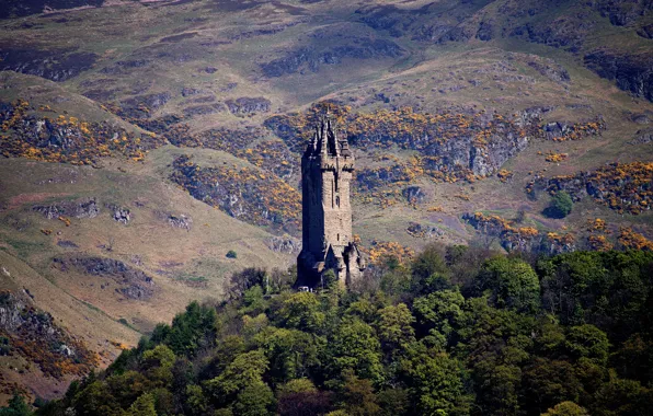 Деревья, горы, башня, Шотландия, Stirling, Wallace Monument Stirling, паятник