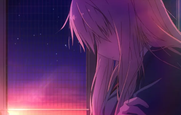Девушка, лучи, закат, одна, Sakurasou no Pet na Kanojo, Shiina Mashiro, волоссы, Кошечка из Сакурасо