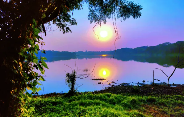 Sun, Water, Sunrise, Dawn, Morning, Lake, Trees, Reflection