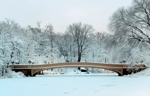 Картинка зима, снег, деревья, мост, парк, landscape, bridge, New York