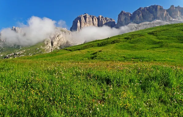 Картинка Альпы, луг, Италия, разнотравье, горный хребет, Доломиты