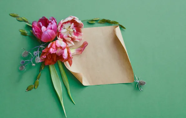Цветы, бумага, flowers, карточка, Backgrounds