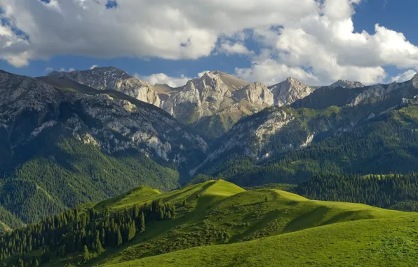 Картинка небо, трава, облака, деревья, горы