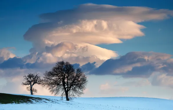 Картинка зима, поле, небо, облака, снег, деревья