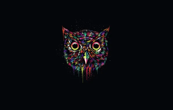 Картинка темный фон, сова, краски, минимализм, owl