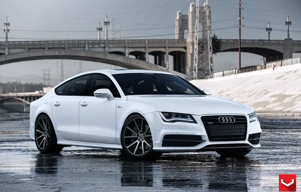 Audi, Vossen