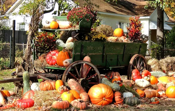 Картинка осень, дом, дерево, урожай, тыква, повозка, усадьба, воз