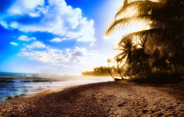 Картинка песок, море, волны, лето, вода, деревья, океан, берег