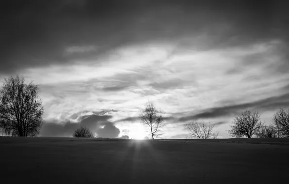 Зима, снег, winter, snow, sun, cold, чернобелое