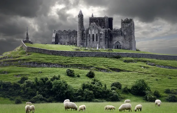 Тучи, замок, овцы, холм, Ирландия, Ireland