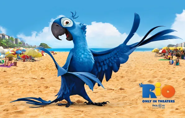 Песок, пляж, птица, мультфильм, крылья, перья, клюв, попугай