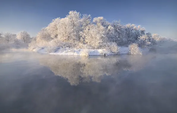 Картинка лед, иней, снег, деревья, природа, туман, озеро, остров