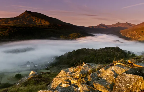 Картинка лес, свет, горы, туман, Англия, утро, долина, Уэльс
