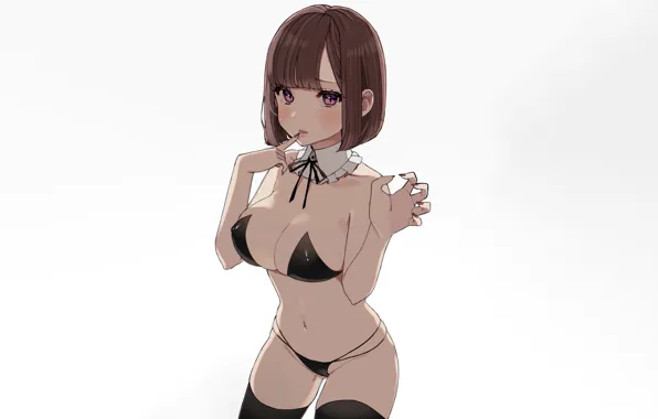 Картинка girl, sexy, lingerie, bra, cleavage, panties, thighhighs, brown hair