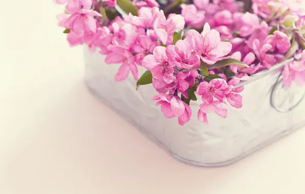 Картинка цветы, корзина, букет, розовые