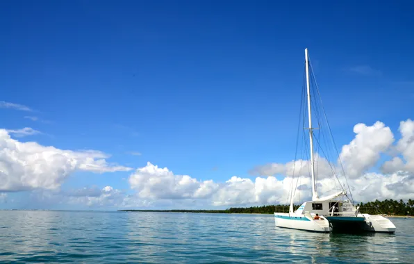 Nature, Landscapes, Brazil, Bahia, South American