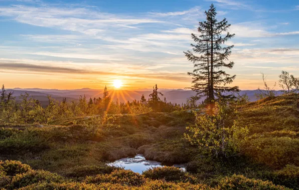 Осень, лес, небо, солнце, облака, лучи, закат, горы