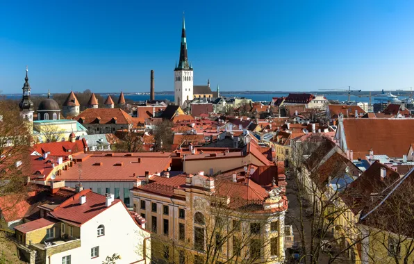Здания, дома, крыши, Эстония, Таллин, панорама