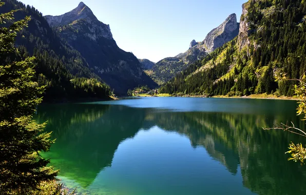 Картинка лес, небо, горы, озеро, отражение