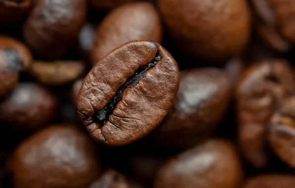 Картинка beans, coffee, roasted