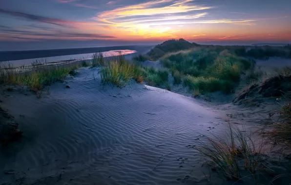 Nederland, dunes, Friesland, Ameland