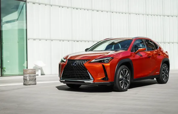 Lexus, кроссовер, Lexus UX, 2019, 250h