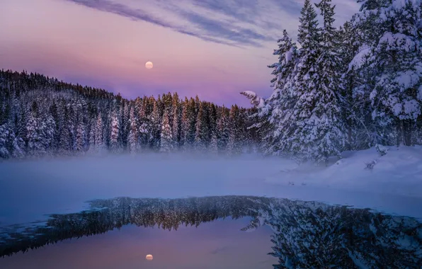 Картинка зима, лес, снег, природа, озеро, луна, вечер, дымка