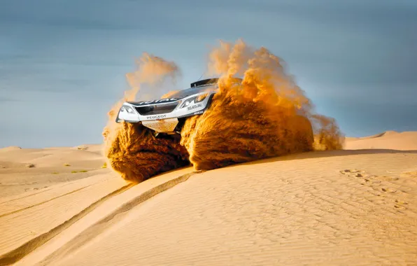 Песок, Спорт, Скорость, Гонка, Peugeot, Фары, Red Bull, Rally