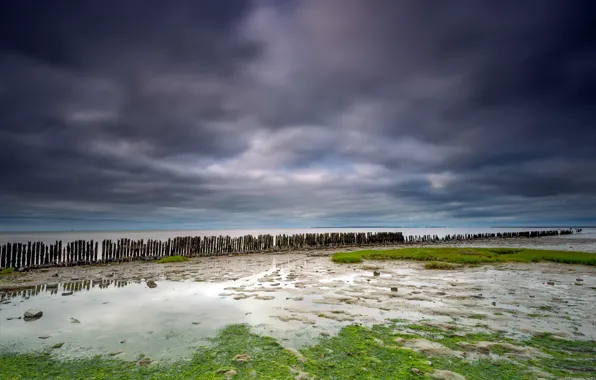 Море, берег, Moddergat, Wadden Sea