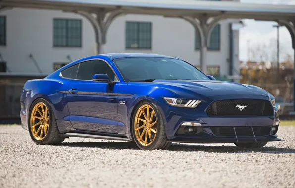 Картинка mustang, ford, 5.0, gts