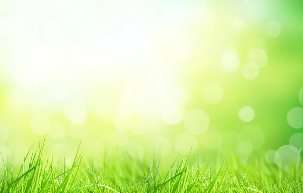 Картинка природа, grass, травка, nature, солнечные лучи, sun