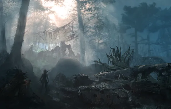 Картинка лес, девушка, деревья, самолет, Tomb Raider, Расхитительница гробниц