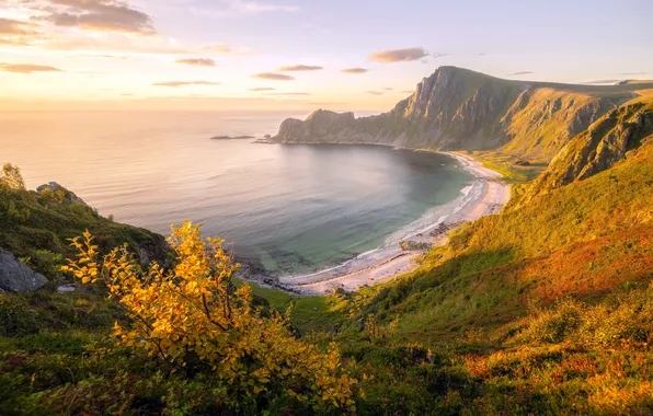 Картинка море, берег, утро