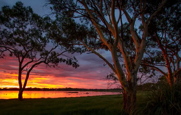 Картинка Sunset, Australia, Big Swamp