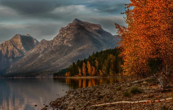 Осень, деревья, горы, озеро