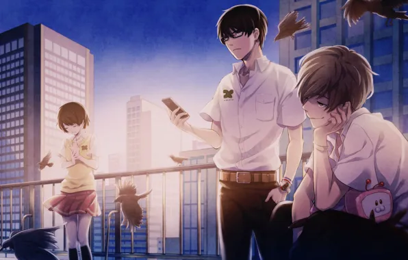Девушка, парни, Эхо террора, Zenkyou no Terror