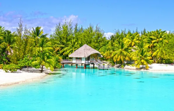 Пляж, пальмы, лагуна, бунгало, blue lagoon, bora-bora, clear aqua, white beach