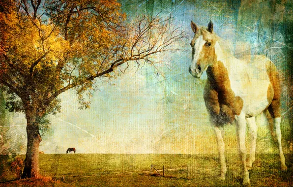 Картинка пейзаж, полотно, фото, дерево, конь, лошадь, текстура, горизонт